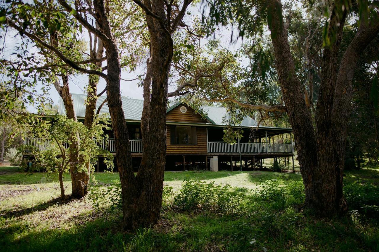 Forest Resort 4*