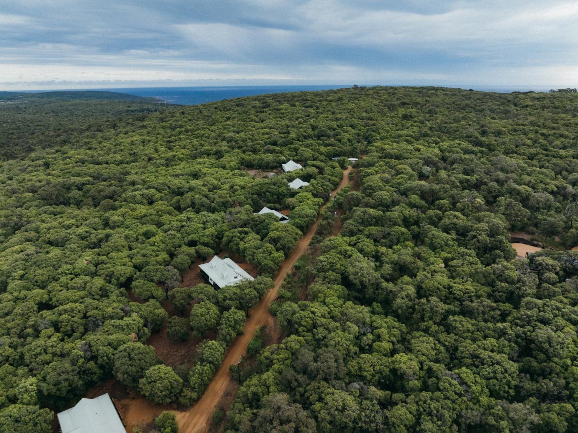 Resort Forest 4*